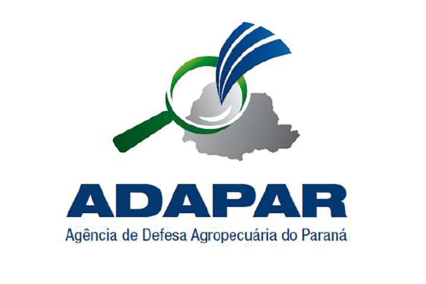 Paraná tem cinco focos de influenza aviária; Adapar monitora evolução dos casos