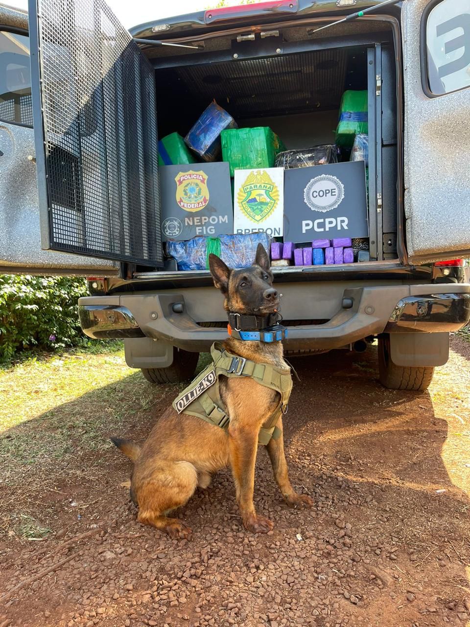 Operação conjunta resulta na apreensão de 357 kg de maconha em Santa Helena