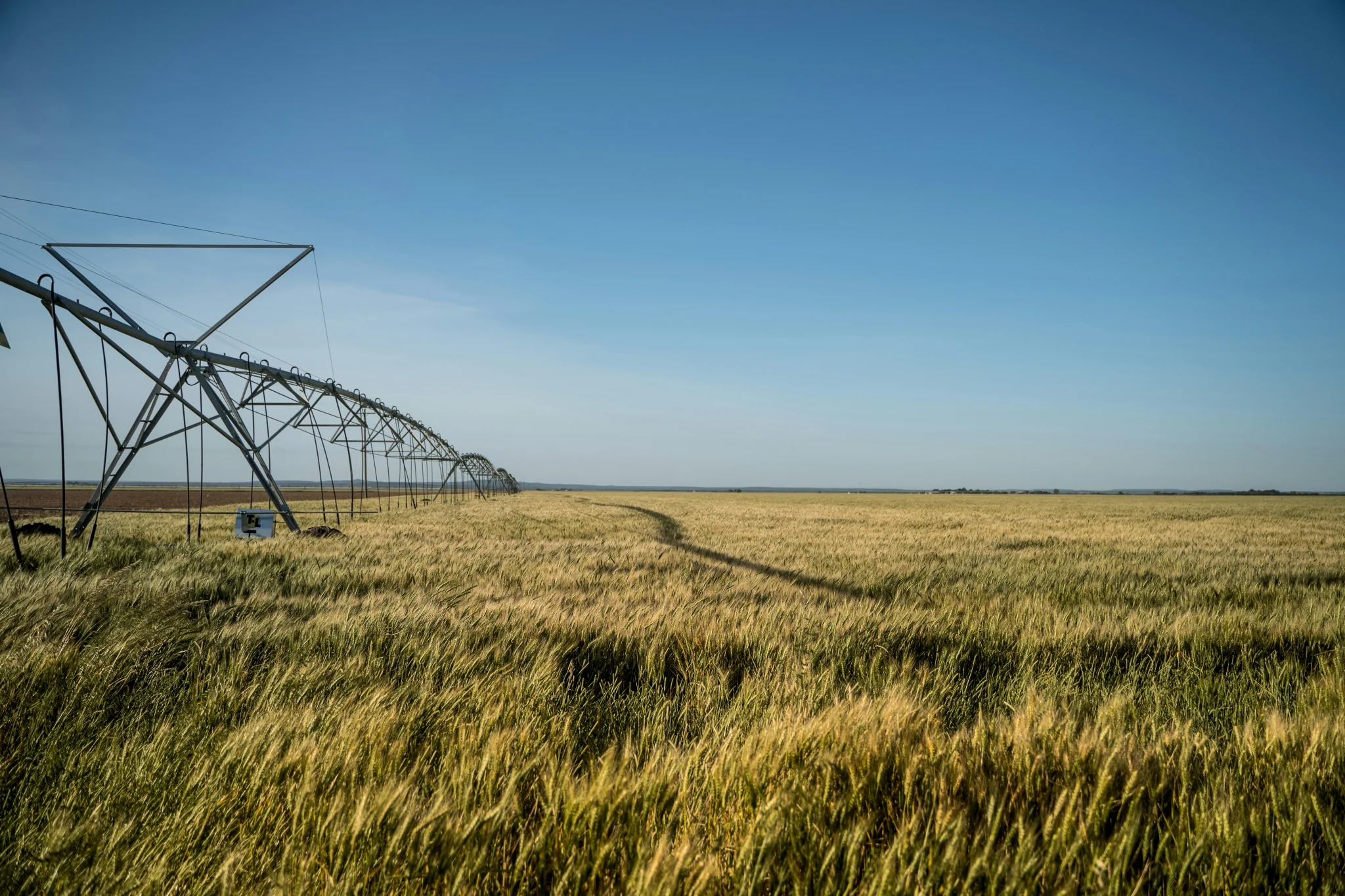 Paraná Busca Inovações em Agricultura durante Visita ao Nebraska
