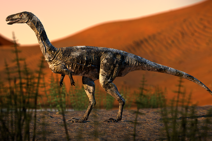 Vespersaurus_paranaensis