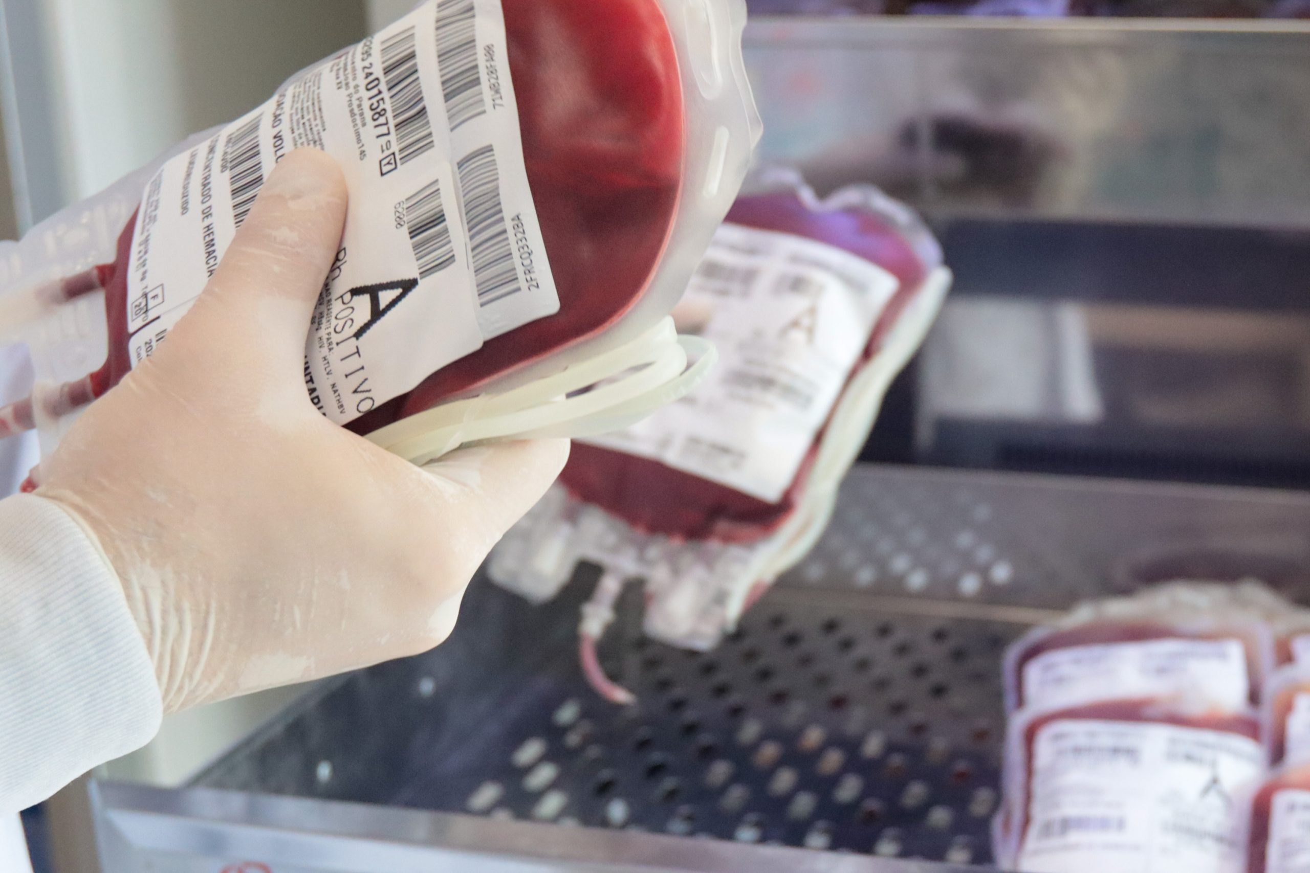 Paraná envia 300 bolsas de sangue para ajudar o sistema de saúde do Rio Grande do Sul