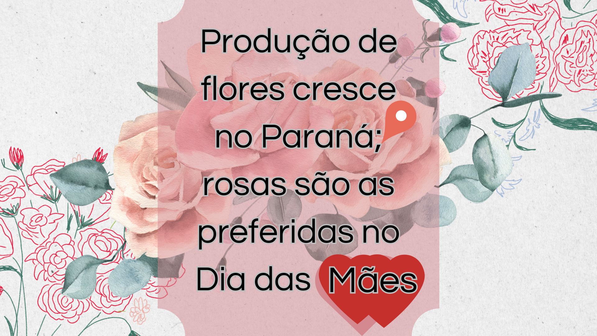 Produção de flores cresce no Paraná; rosas são as preferidas no Dia das Mães