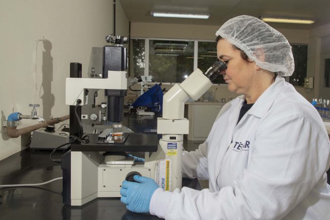 Cresce relevância internacional da revista científica editada pelo Tecpar