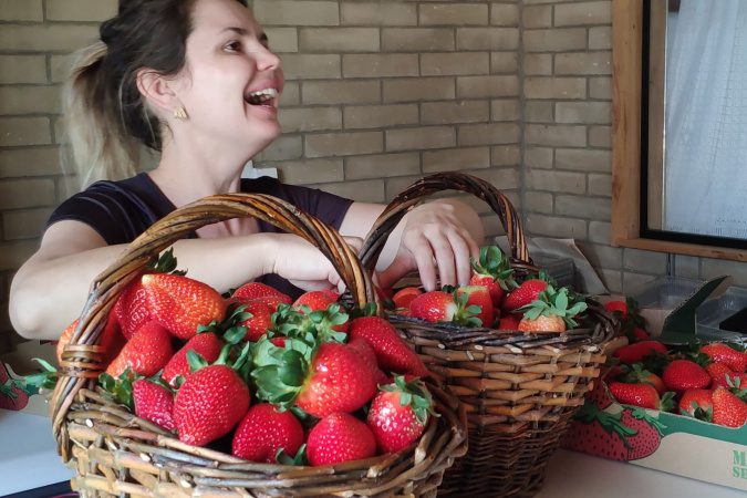 Assistência que alia teoria e prática capacita produtores de morango na Grande Curitiba