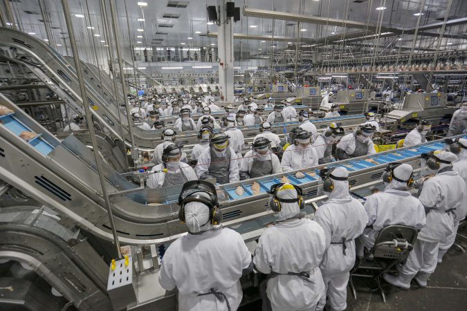 31 mil vagas: indústria do Paraná é segunda que mais gerou empregos em 2024