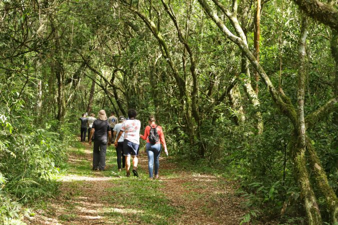 Estado promove encontro com municípios sobre a Rota Turística Caminhos do Peabiru
