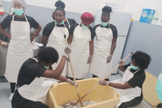 Produção de couro de peixe: projeto do Paraná será implantado em Cabo Verde, na África