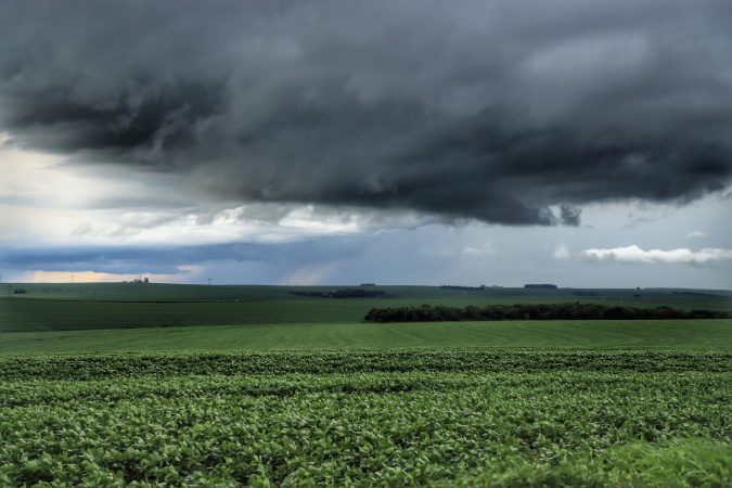 Boletim agrometeorológico analisa chuvas de janeiro no cenário agrícola do Paraná