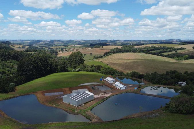 Com selo Susaf, frigorífico de Pato Branco vai expandir produção de pescados