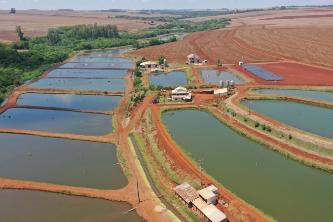 Estado e Biopark Educação oferecem bolsas para mapeamento da piscicultura