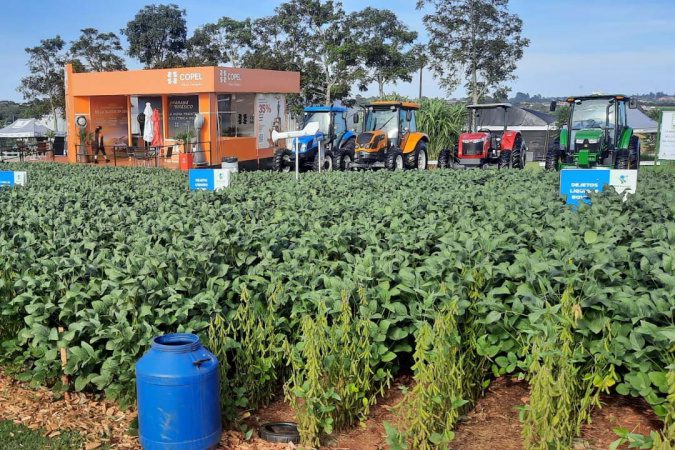 No Show Rural, IDR-PR vai orientar sobre aplicação de dejetos de criação nas lavouras