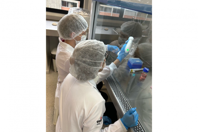 Projeto apoiado pelo Estado estuda produção alternativa de colágeno de jumento