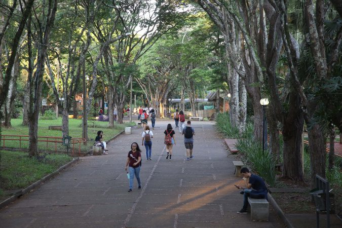 Sucesso na 1ª edição: Aprova Paraná Universidades inicia matrículas nesta quarta