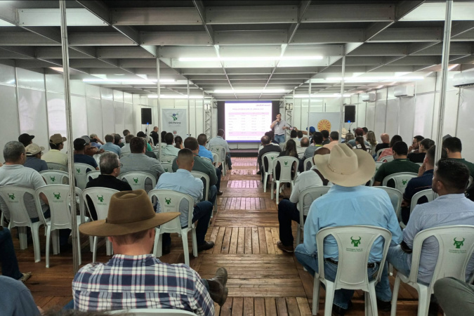Com união e ações rápidas na citricultura, Paraná mantém combate ao greening