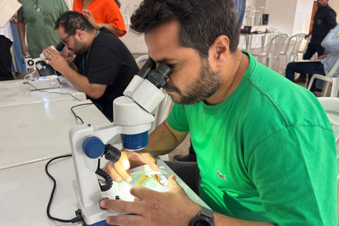 Saúde capacita profissionais do Noroeste no manejo de serpentes, aranhas e escorpiões