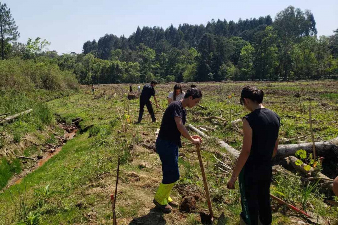 Educação do Paraná se destaca em Olimpíada Nacional de Recuperação de Ecossistemas
