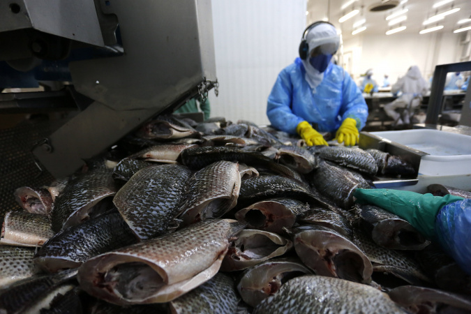 Com aumento de 8,7% na pecuária, Paraná tem 9 cidades entre as maiores produtoras do Brasil