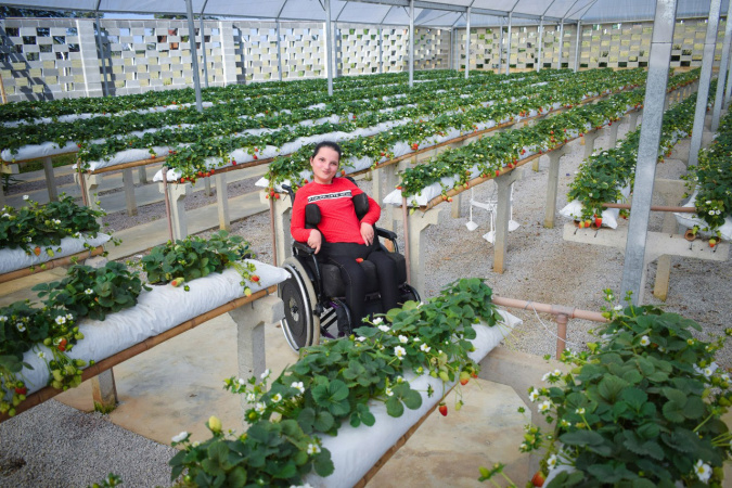Produtores de Tijucas do Sul criam espaço para receber pessoas com deficiência