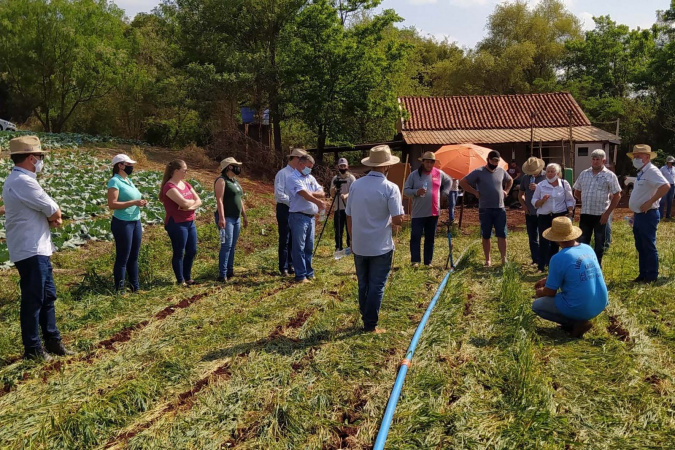 IDR-Paraná abre inscrições para PSS com 173 vagas em diversas áreas do campo neste sábado