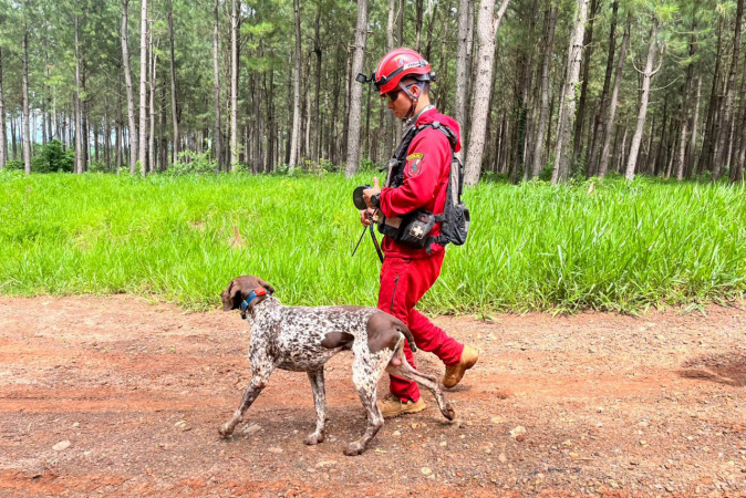 Em Cianorte, Corpo de Bombeiros realiza 2ª certificação nacional de cães de resgate