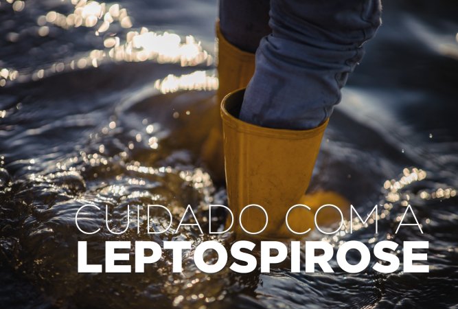 Saúde alerta: leptospirose é doença grave e risco aumenta após chuvas