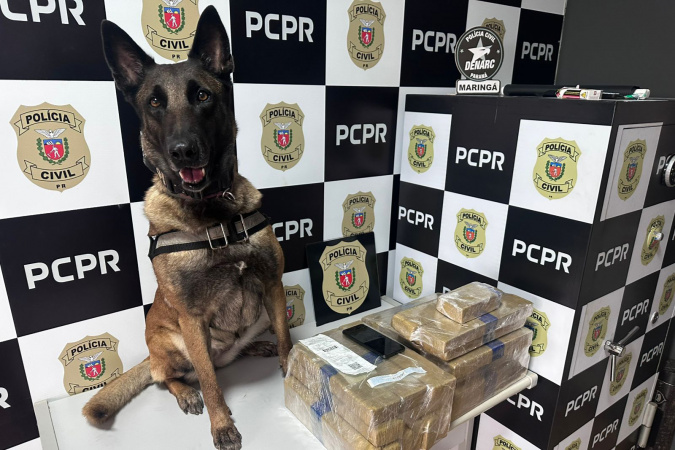 PMPR e PCPR apreendem quase 150 toneladas de drogas com apoio de cães em 2025