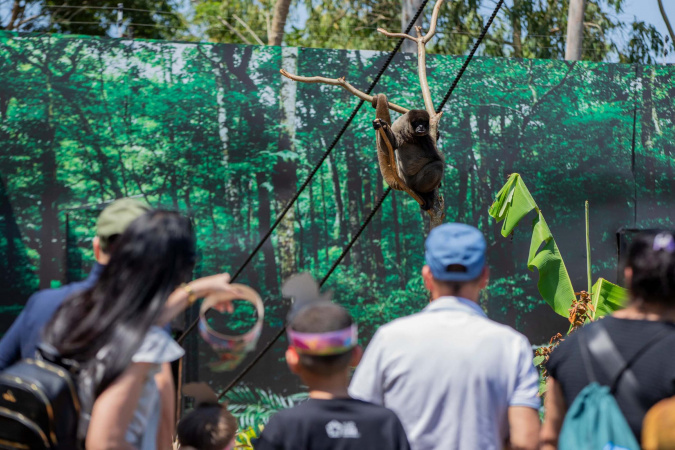 Best of the Best: com Foz do Iguaçu, Paraná marca presença em premiação internacional
