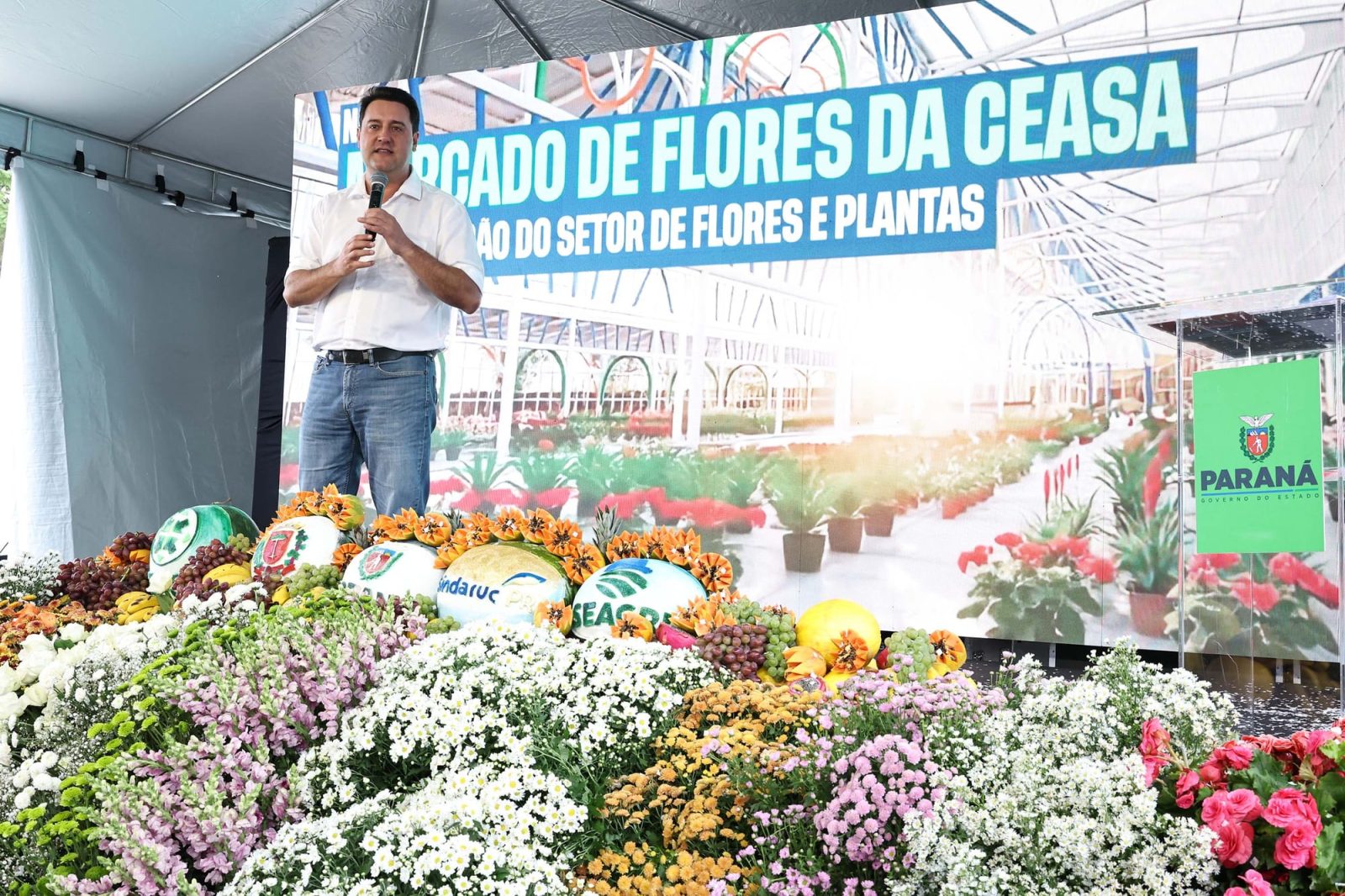 Com lucro de R$ 338 milhões em 2024, Celepar pode virar “problema para o bolso”, diz Ratinho Jr
