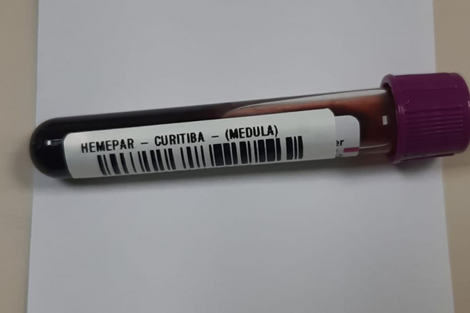 Fevereiro Laranja: mês da conscientização sobre leucemia reforça papel do diagnóstico