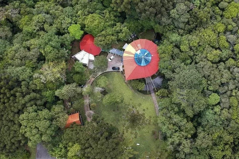 Preservação do Bosque da Copel gera debate na Câmara Municipal