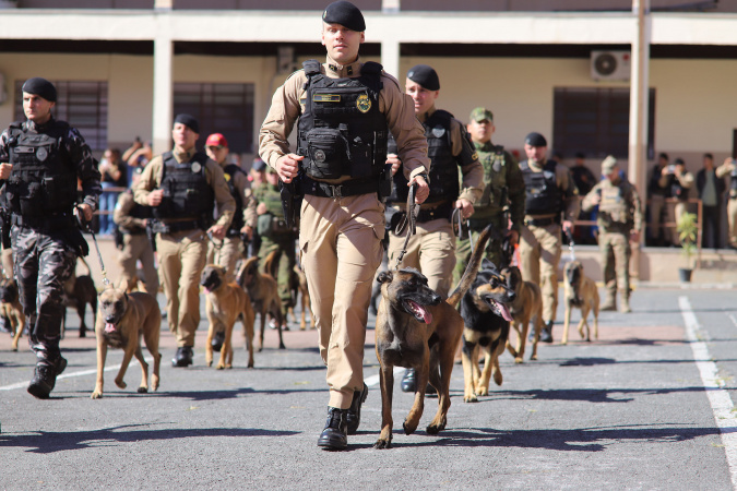 PMPR forma 34 policiais para uso de cães em operações e patrulhamentos