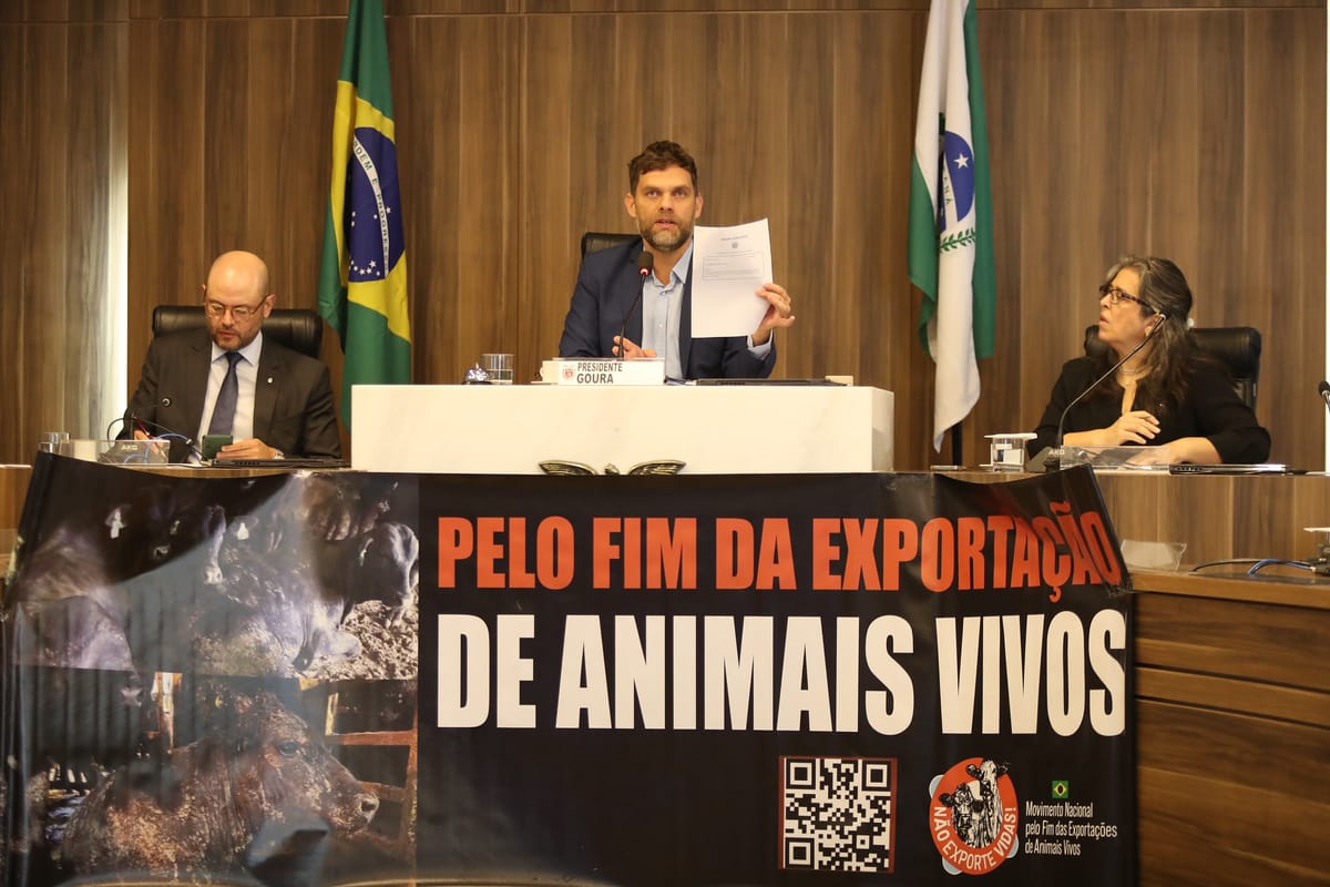 Paraná pode ter proibição de exportação de animais vivos a partir do Estado