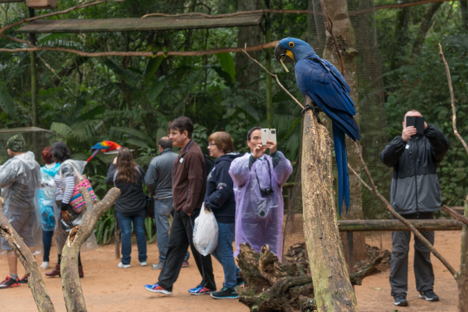 Paraná foi o terceiro portão de entrada de turistas estrangeiros em maio no país