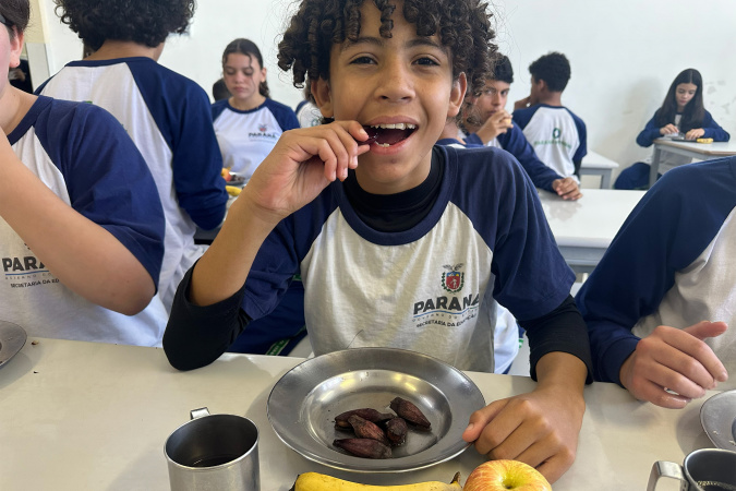 Pinhão amplia espaço nos cardápios da alimentação escolar da rede estadual 