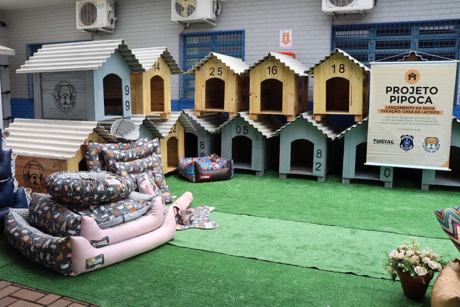 Detentos de Cascavel fazem 100 casinhas para cães resgatados das ruas
